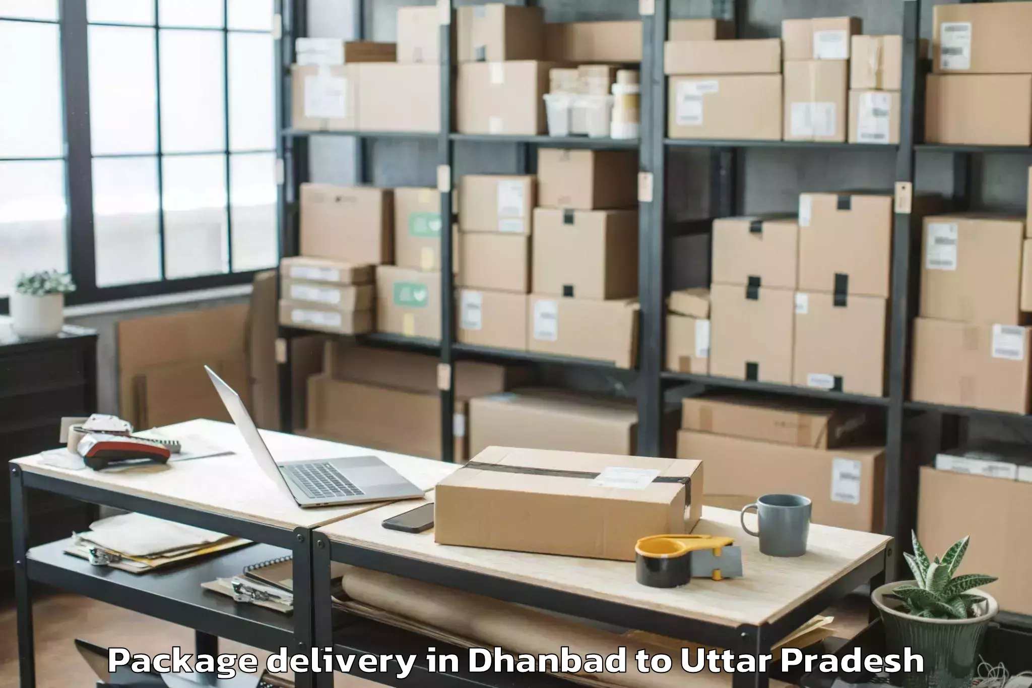 Book Dhanbad to Jhusi Package Delivery Online